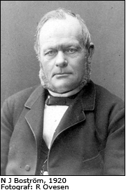 NJ Boström, 1920